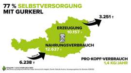Infografik Versorgungsbilanz Gurken 2022