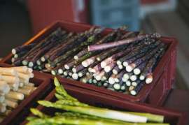 copyright: Verein Marchfeldspargel g.g.A