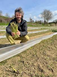 copyright: Hamedinger, LK O�