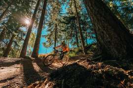 Ein Radfahrer im Wald im Bikepark Semmering