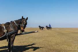 Pferdeartisten im Nationalpark Hortob�gy