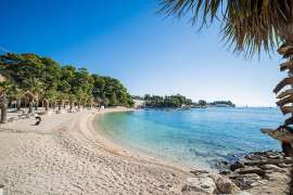 Ein Strand mit Palmen