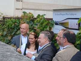 copyright: Michael Strausz:Faber_Weinknigin_Ludwig