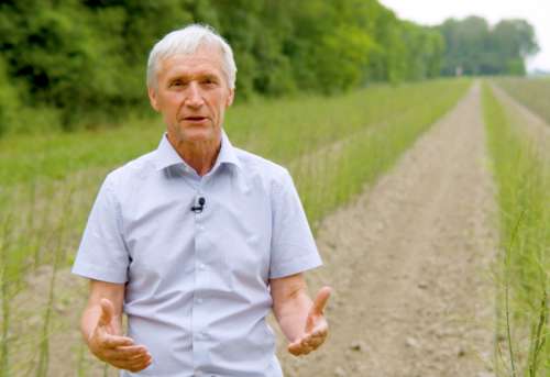 copyright: Verein Marchfeldspargel g.g.A