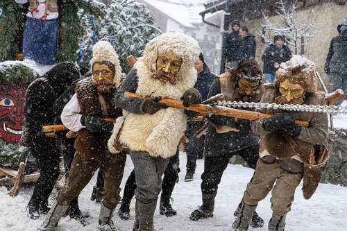 Mit aller Kraft musste die sechs Tonnen schwere Zirbe durch die schneebedeckten Gassen von Fiss gezogen werden.