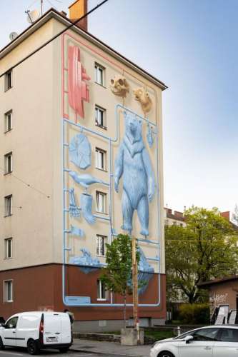 copyright: Joanna Pianka