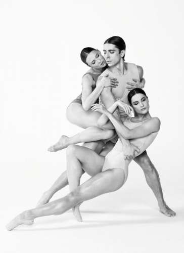 copyright: Volksoper