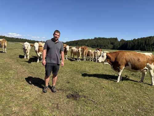 Bio Landwirt Lukas Hochwallner: Bei seiner Herde auf der Weide.