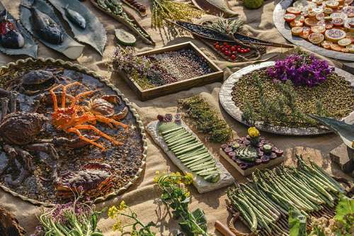 Diverse Speisen aus der Noma K�che