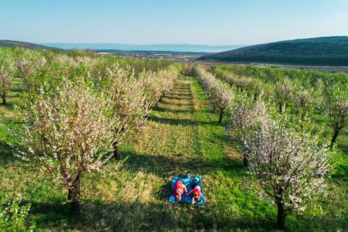 copyright: Visit Balaton