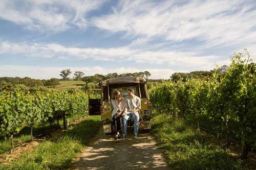 Ausflug in einen Weinberg in den Adelaide Hills