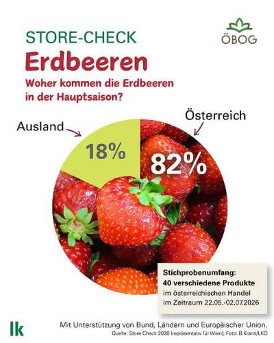 Store Check Grafik zur Herkunft der Erdbeeren in �sterreich in der Hauptsaison