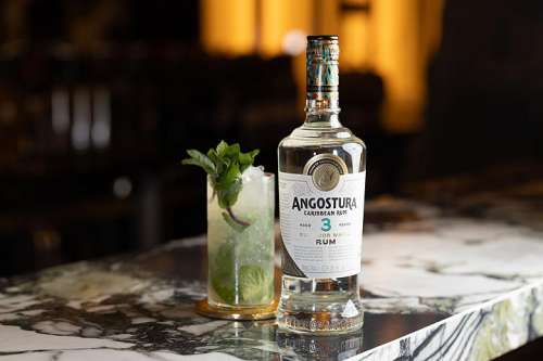 Bis zu drei Jahren reift der Angostura 3 Years Old Superior White Rum bevor er zweifach gefiltert wird. Trocken, dabei cremig, mit tropischen Fruchtnoten, Vanille und Kokos. Leichtf��ig mit Struktur ist er der perfekte Mixing-Rum, der sogar pur �berz