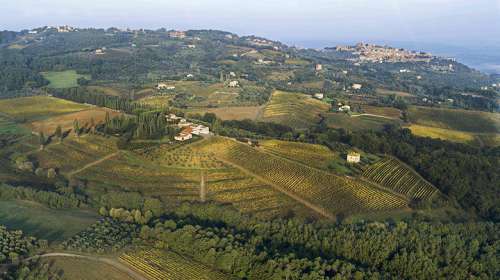 Panorama der Tenuta Greppo in Montalcino