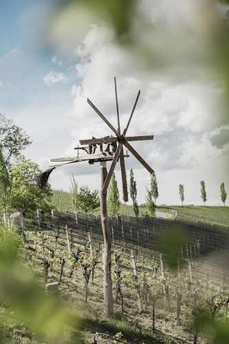 Ein Klapptet im Weingarten